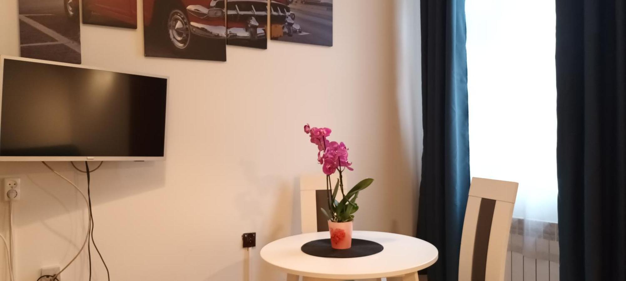 Royal Castle Apartments 克拉科夫 外观 照片