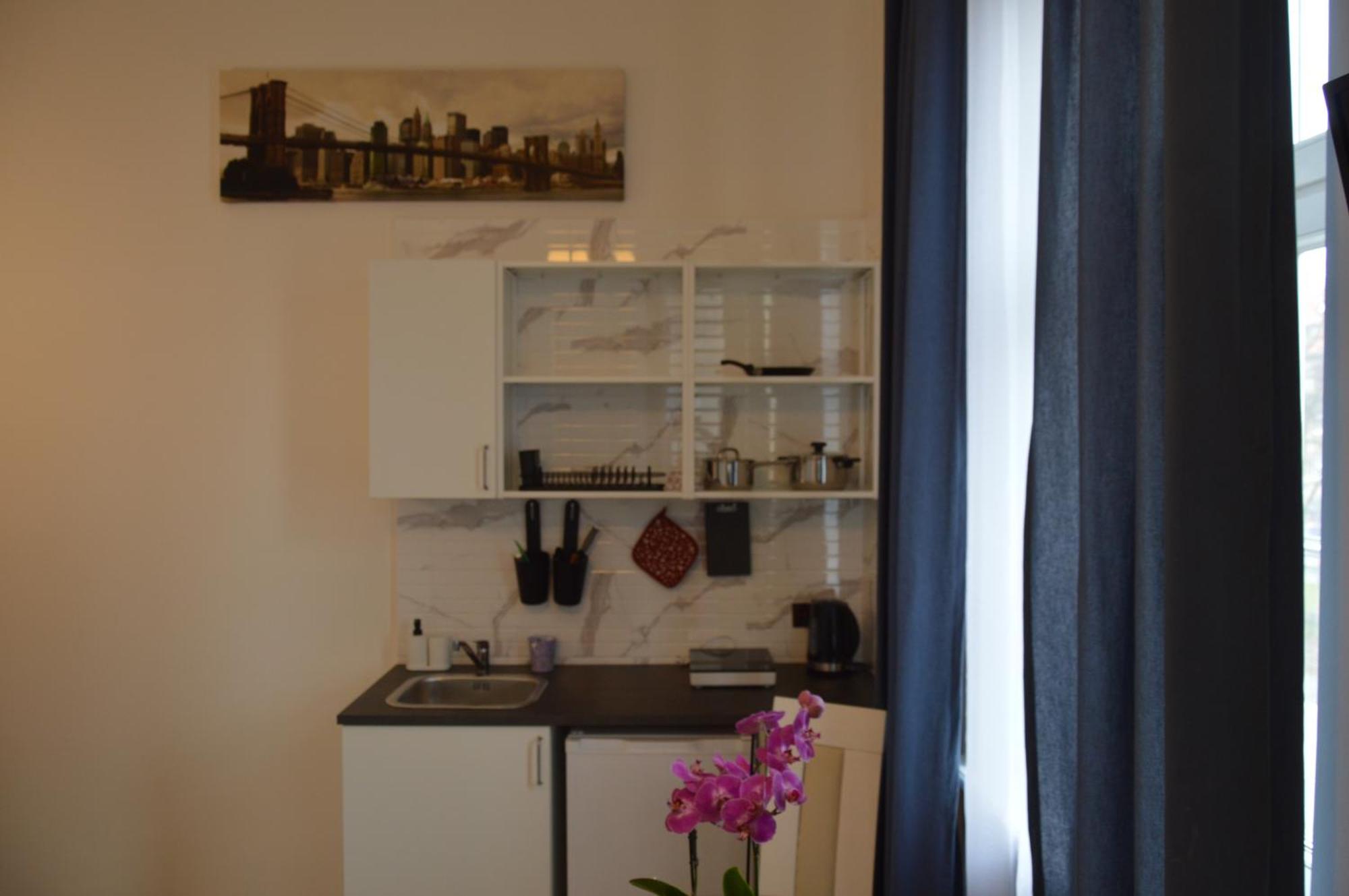 Royal Castle Apartments 克拉科夫 外观 照片